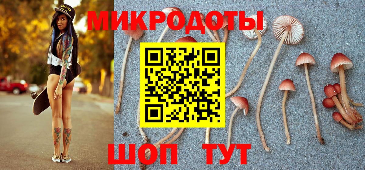 Озёрск  Галлюциногенные грибы мухоморы  Вход с VPN  Псилоцибиновые грибы прущие грибы 