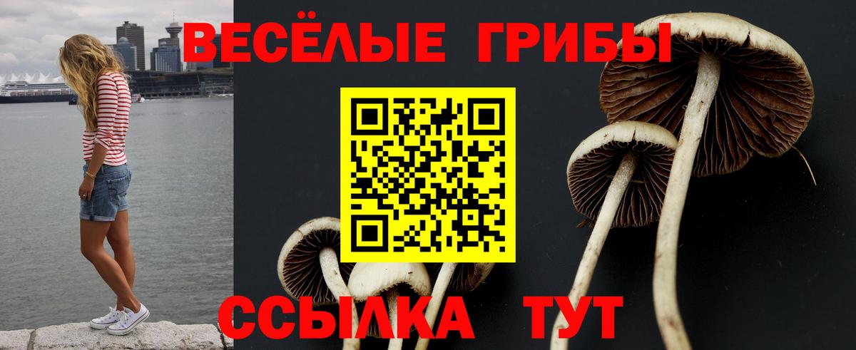 Псилоцибиновые грибы Magic Shrooms Озёрск